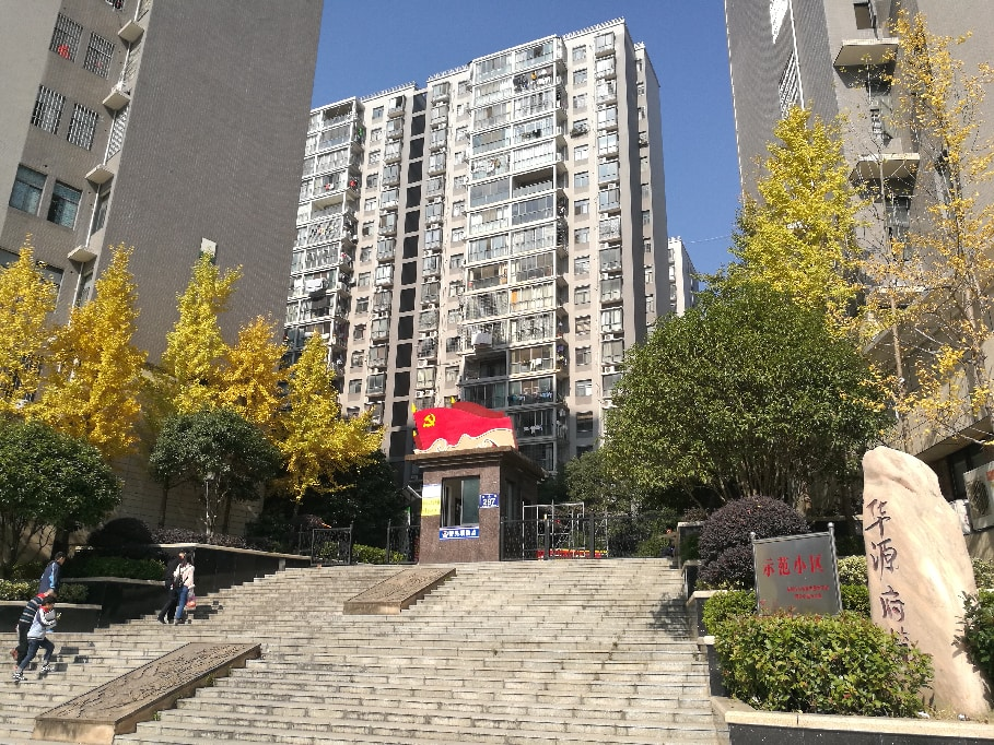 图片00001.png